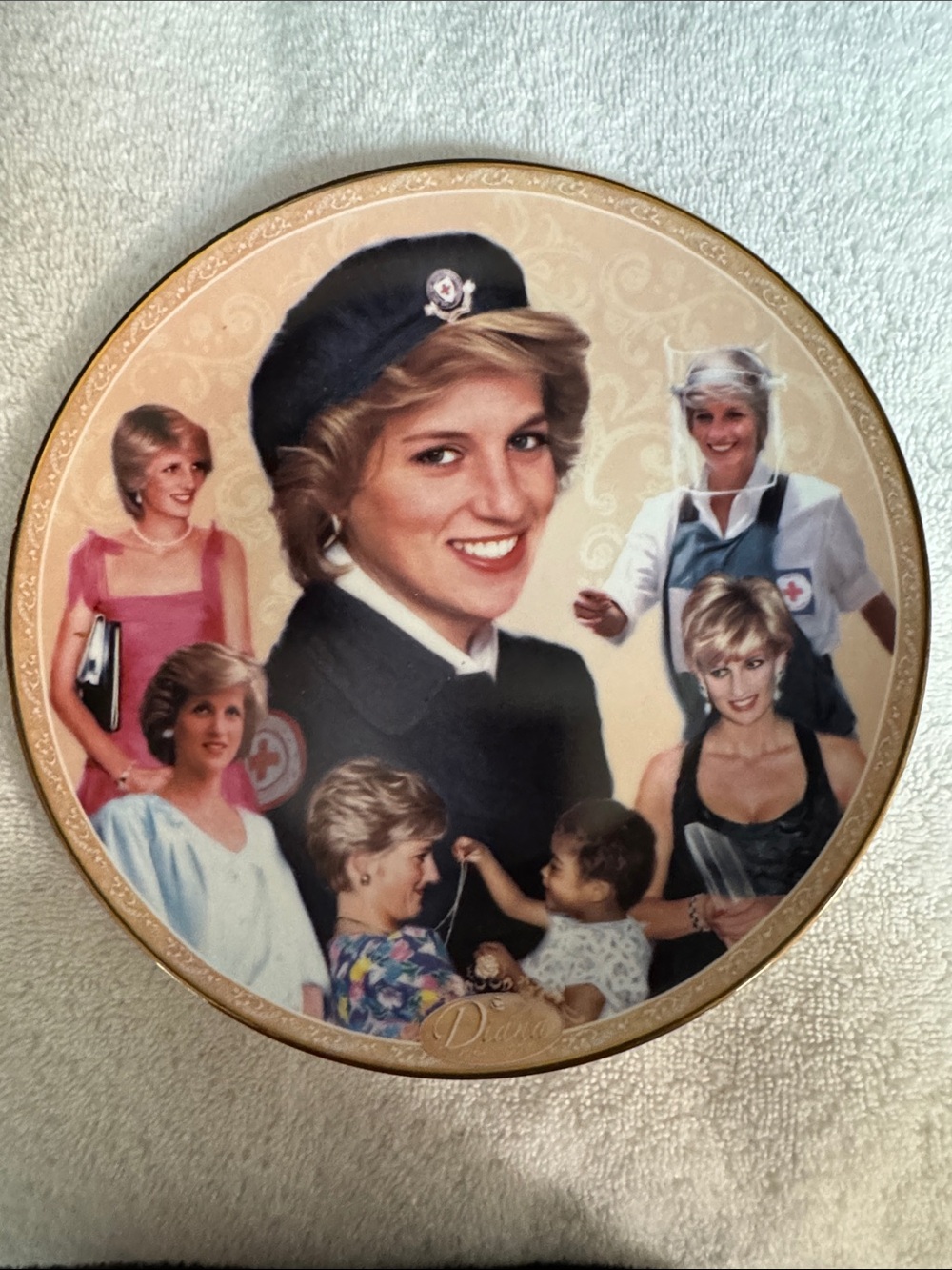 Princess Diana Collector Plate Goodwill Ambassador Danbury Mint #A3352